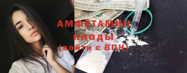мяу мяу мука Аркадак