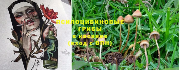 ALPHA PVP Армянск