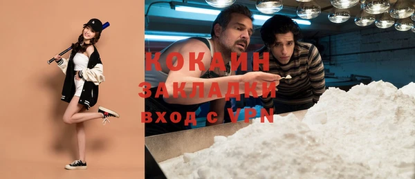 дурь Арсеньев
