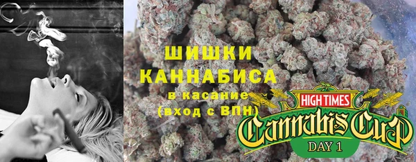 дурь Арсеньев