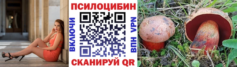 Псилоцибиновые грибы прущие грибы  кракен как войти  Межгорье 